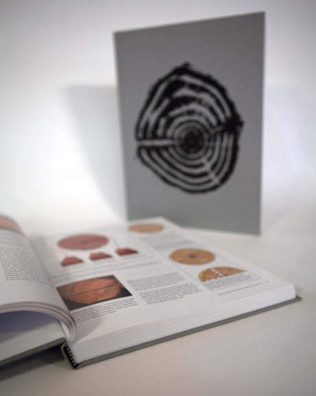 Cut & Dried: A Woodworker's Guide to Timber Technology