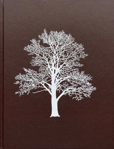 With the Grain: A Craftsman’s Guide to Understanding Wood