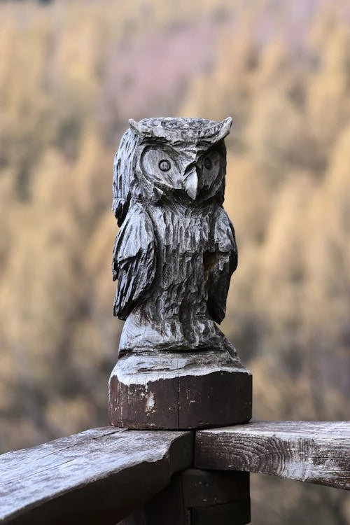 Carving