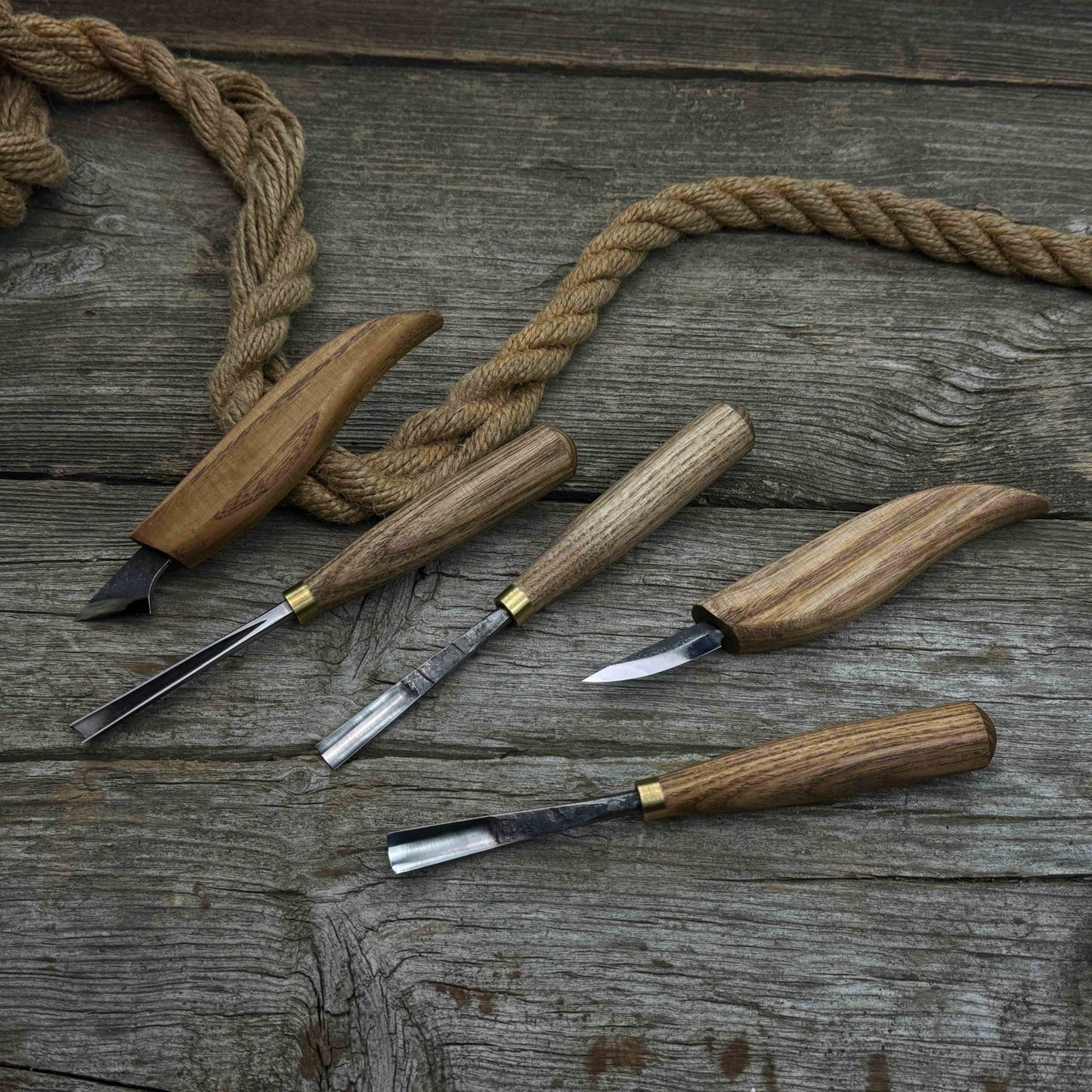 5-Piece Detail Wood Carving Set