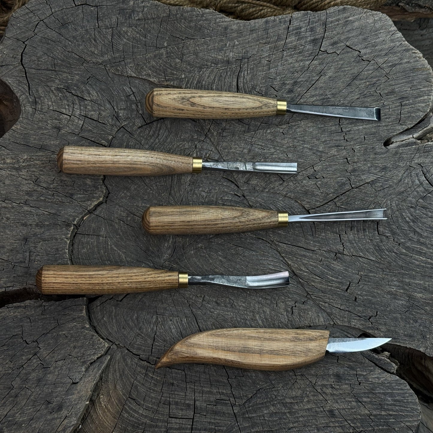 5-Piece Wood Carving Tool Set – For Fine Detail & Relief