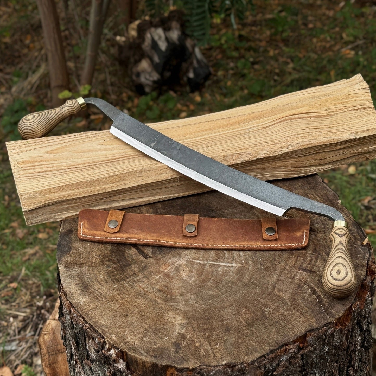 Curved Draw Knife (Push/Pull Shave), 25.5 cm (10 inch) Cutting Edge