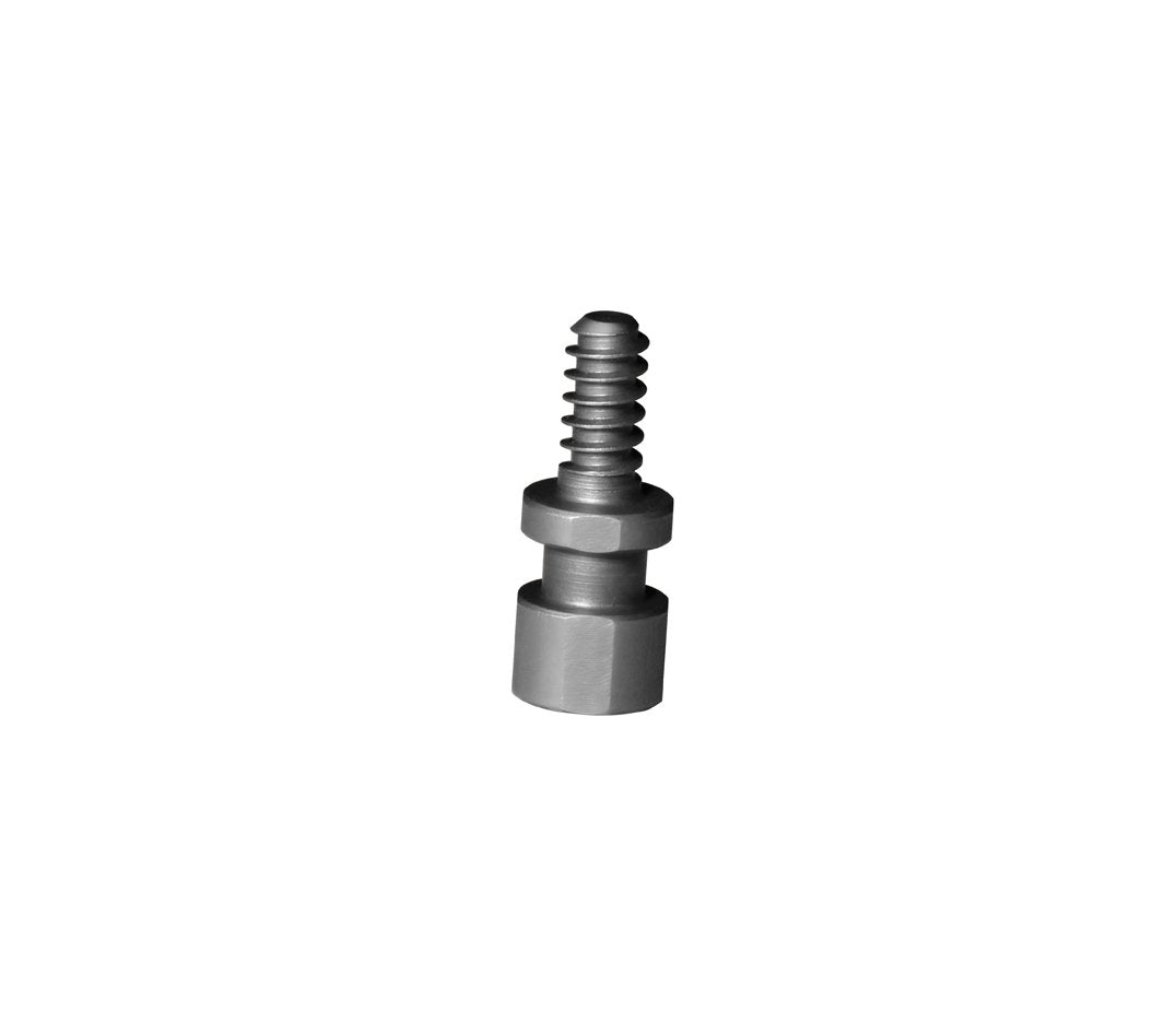 Woodworm Screw